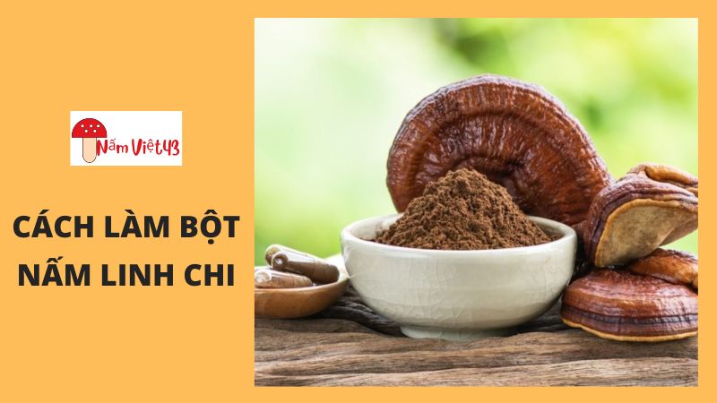 Công Dụng Của Bột Nấm Linh Chi