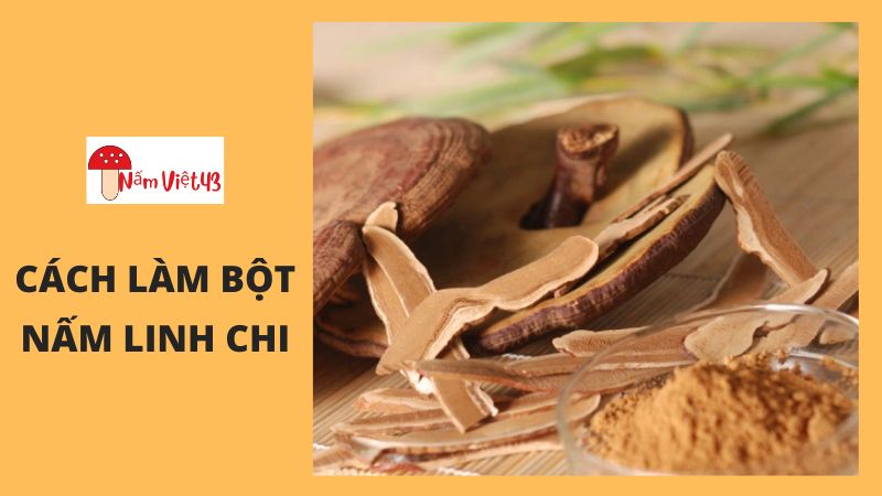 Có Nên Chế Biến Nấm Linh Chi Thành Bột?