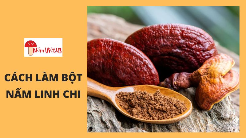 Cách Làm Bột Nấm Linh Chi