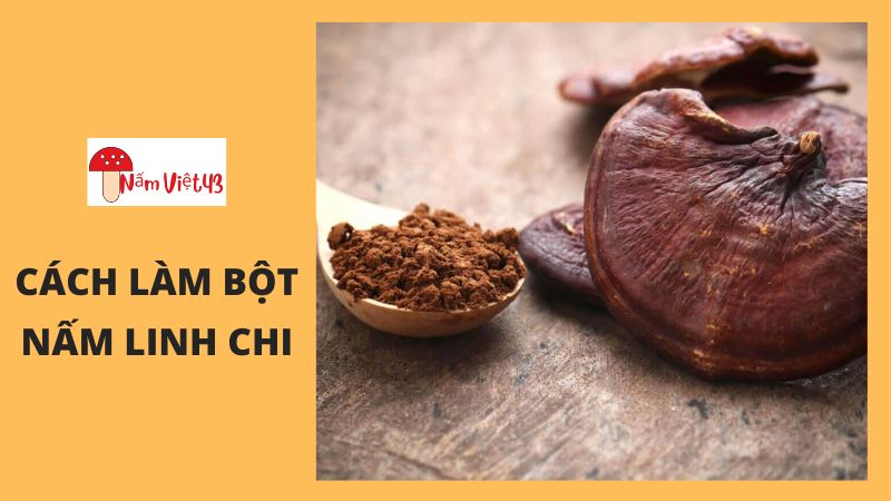 Cách Làm Bột Nấm Linh Chi