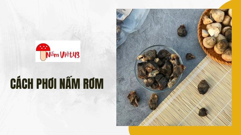 Dinh Dưỡng Và Công Dụng Của Nấm Rơm Khô