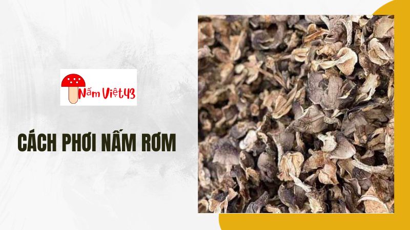 Cách Phơi Nấm Rơm: Phơi Khô Tự Nhiên