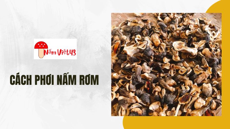 Cách Phơi Nấm Rơm: Sấy Nấm Rơm Khô Bằng Lò Nướng