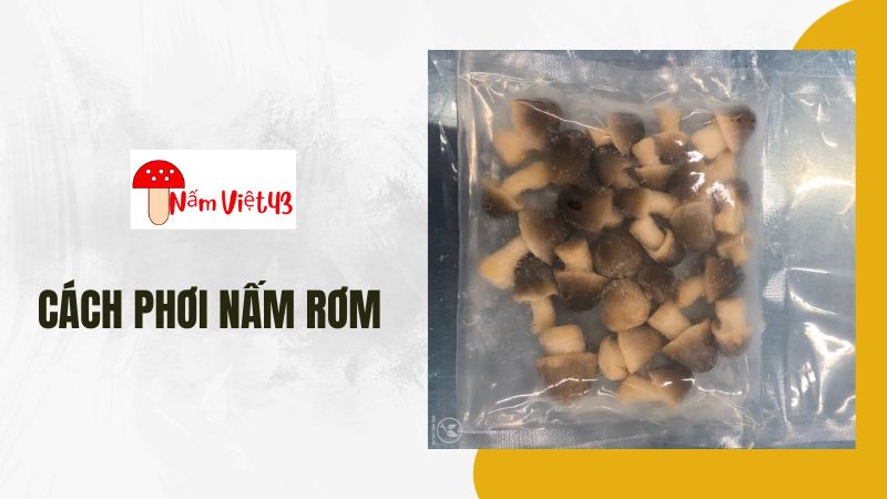 Cách Phơi Nấm Rơm: Sấy Khô Bằng Phương Pháp Đông Lạnh