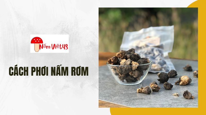 Cách Phơi Nấm Rơm