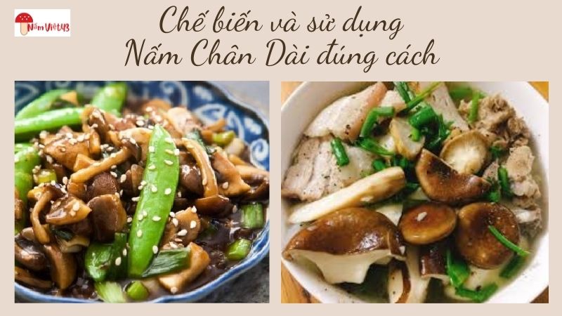 Chế biến và sử dụng Nấm Chân Dài đúng cách