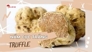 Sự Kết Hợp Hoàn Hảo: Nấm Cục Trắng Truffle Trong Ẩm Thực