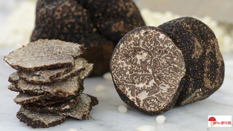 Nấm Truffle Đen