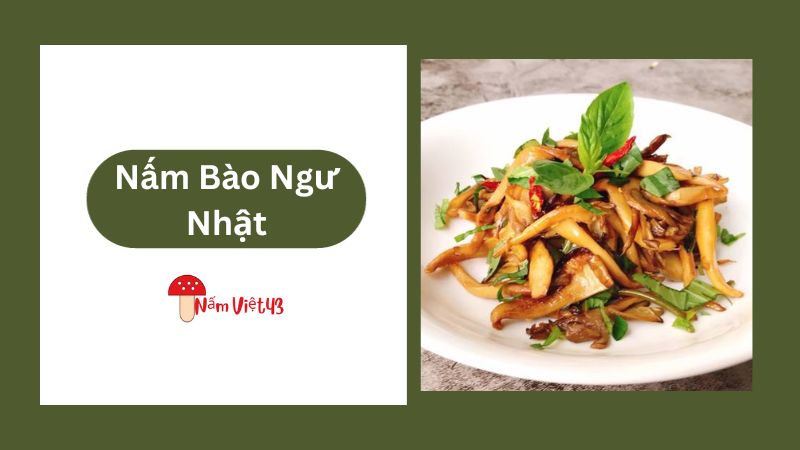 Nấm Bào Ngư Nhật Xào Húng Quế