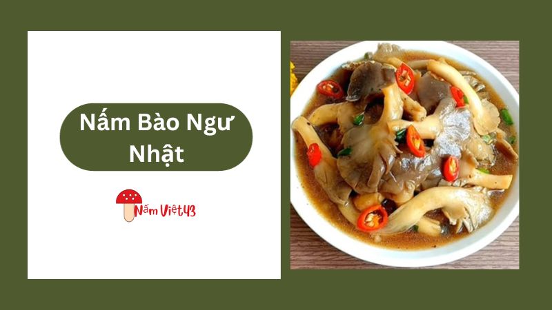 Nấm Bào Ngư Nhật Kho Gừng