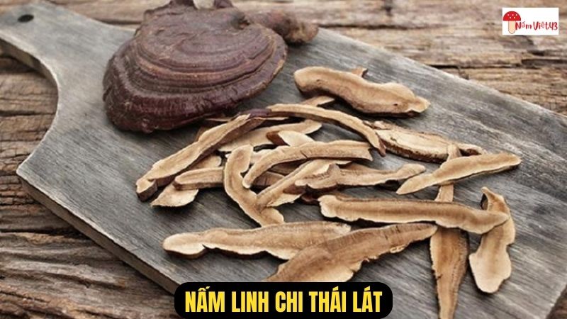 Nấm Linh Chi Thái Lát