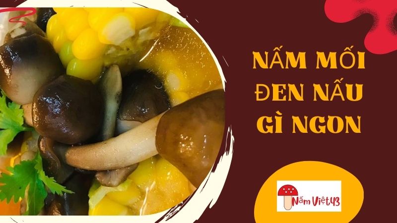 Nấm Mối Đen Nấu Gì Ngon?