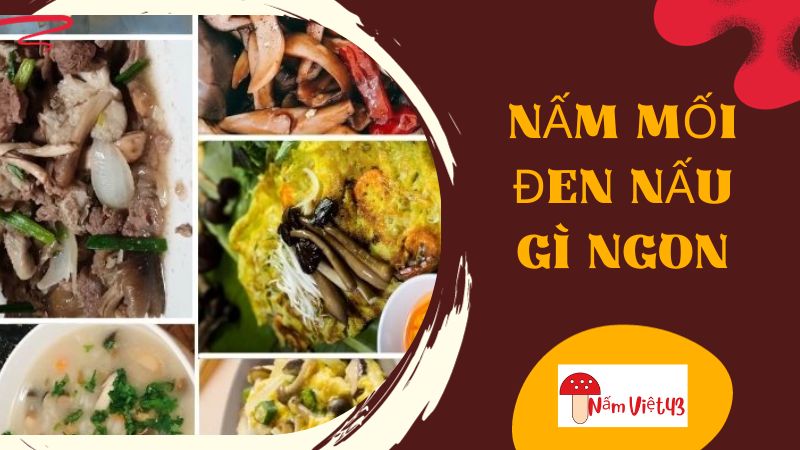 Nấm Mối Đen Nấu Gì Ngon