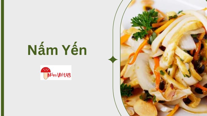 Những Món Ăn Chế Biến Từ Nấm Yến