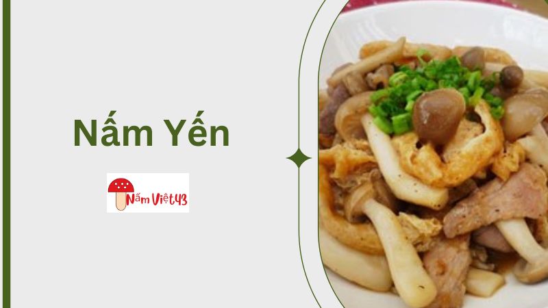 Nấm Yến Xào Tim Heo/Thịt Bò/Tôm