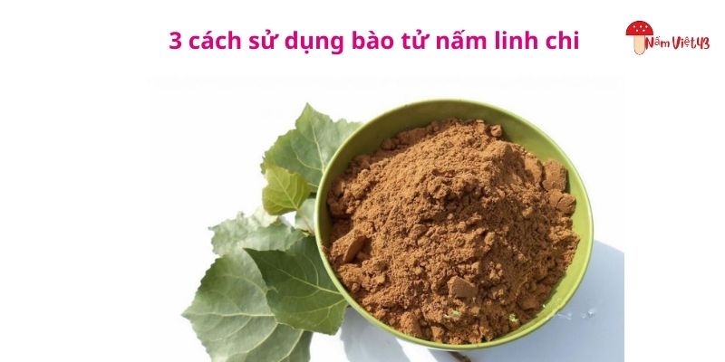 3 cách sử dụng bào tử nấm linh chi 