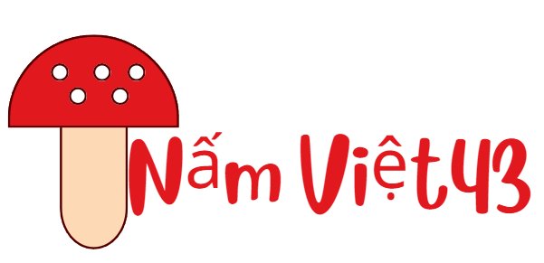 namviet43.com