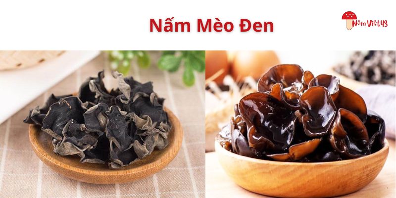 nấm mèo đen