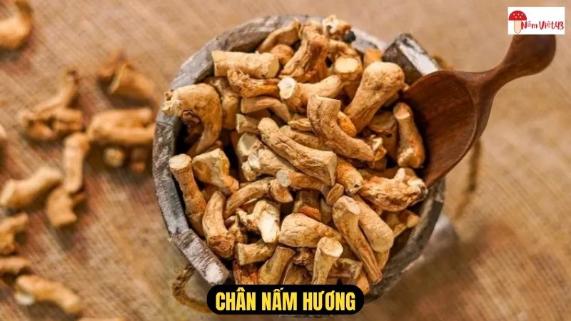 Chân Nấm Hương