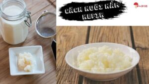 Cách Nuôi Nấm Kefir